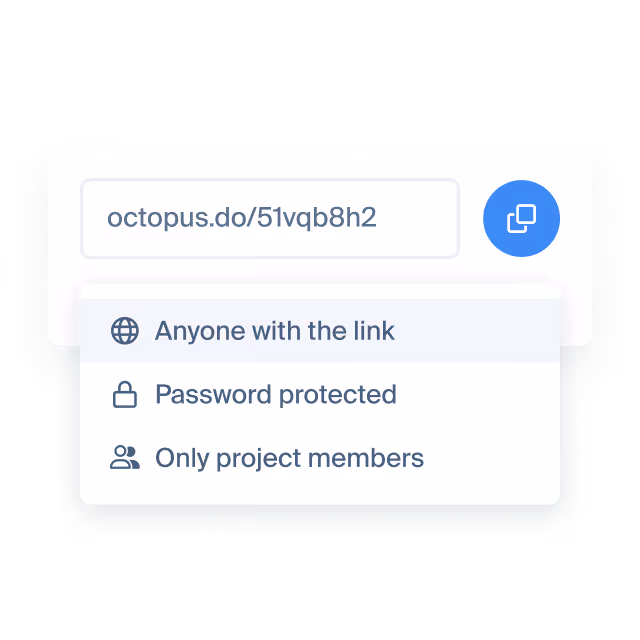 Project access restriction settings| Octopus.do